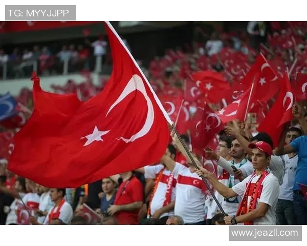 欧洲杯：意大利力克土耳其开门红